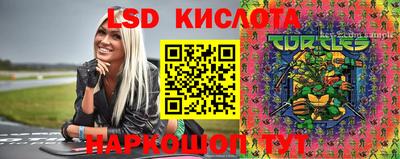 PSILOCYBIN Балахна