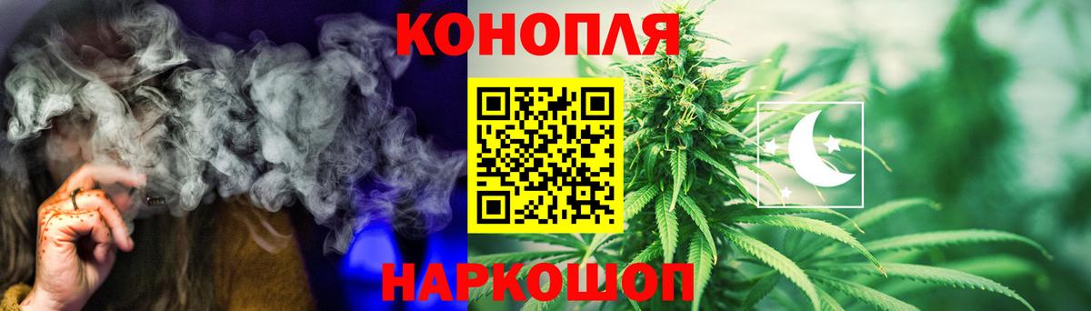 Канабис сатива Гудермес